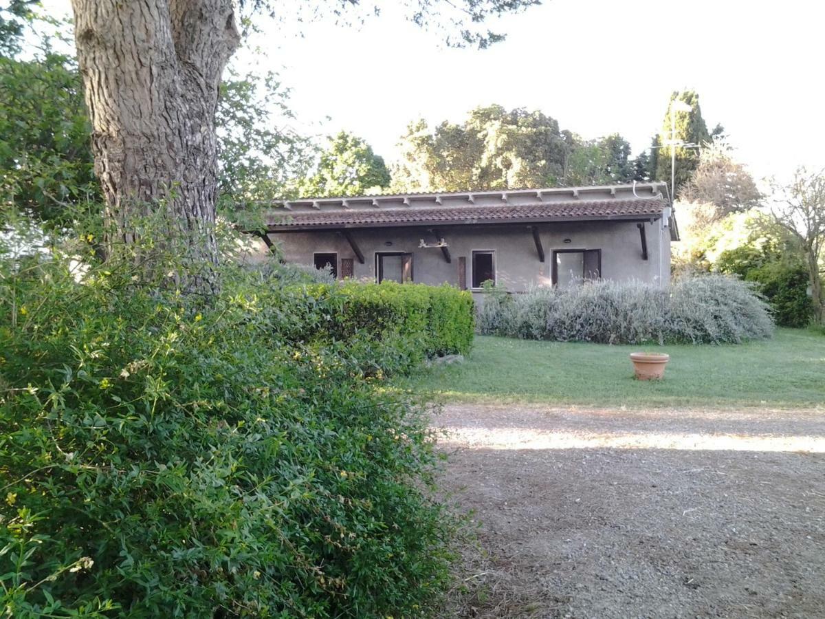 Отель Agriturismo Piana Arborello Мальяно-ин-Тоскана Экстерьер фото